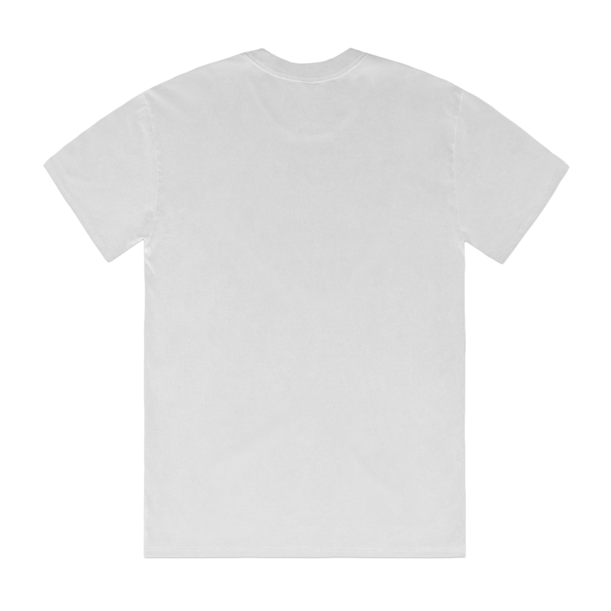 Back view of a white shortsleeve unisex T-Shirt